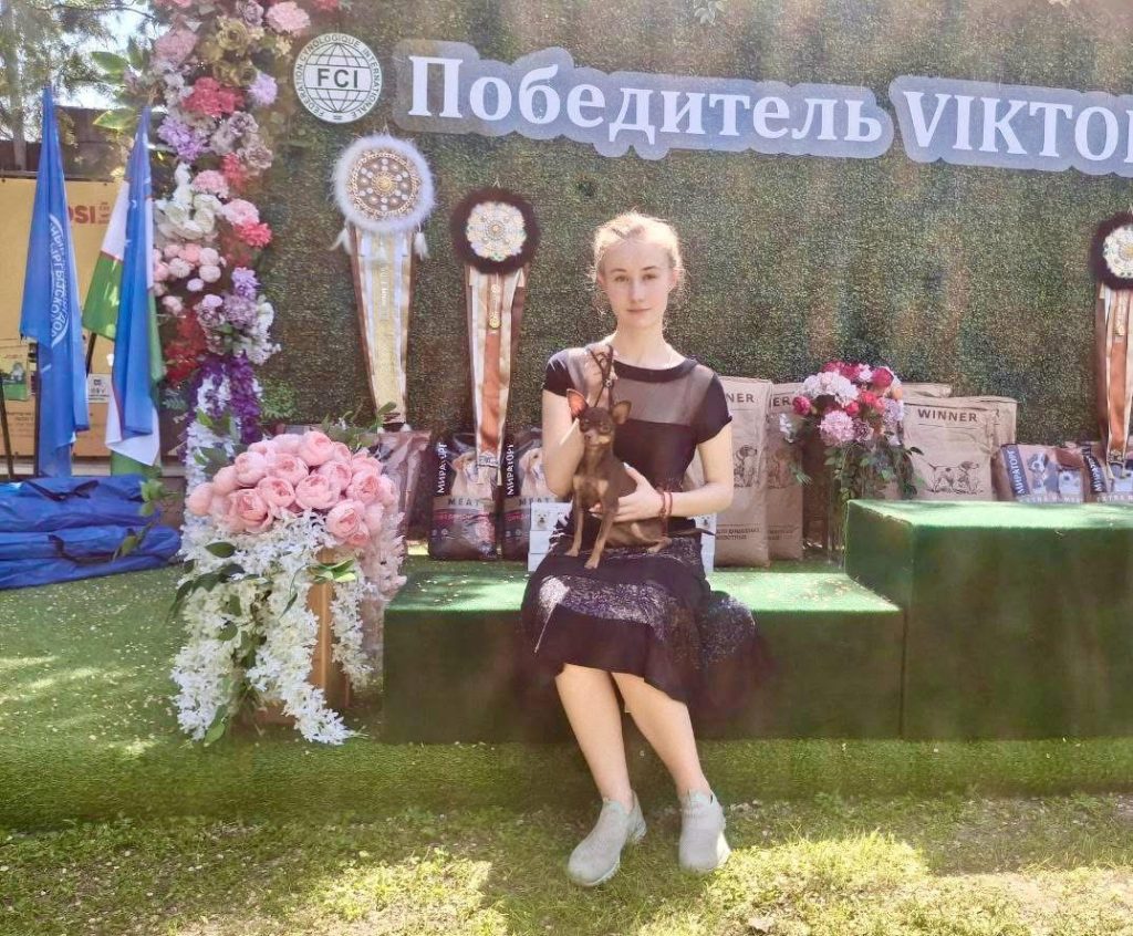 Русский Той ЧЕМПИОН КЫРГЫЗСТАНА.
