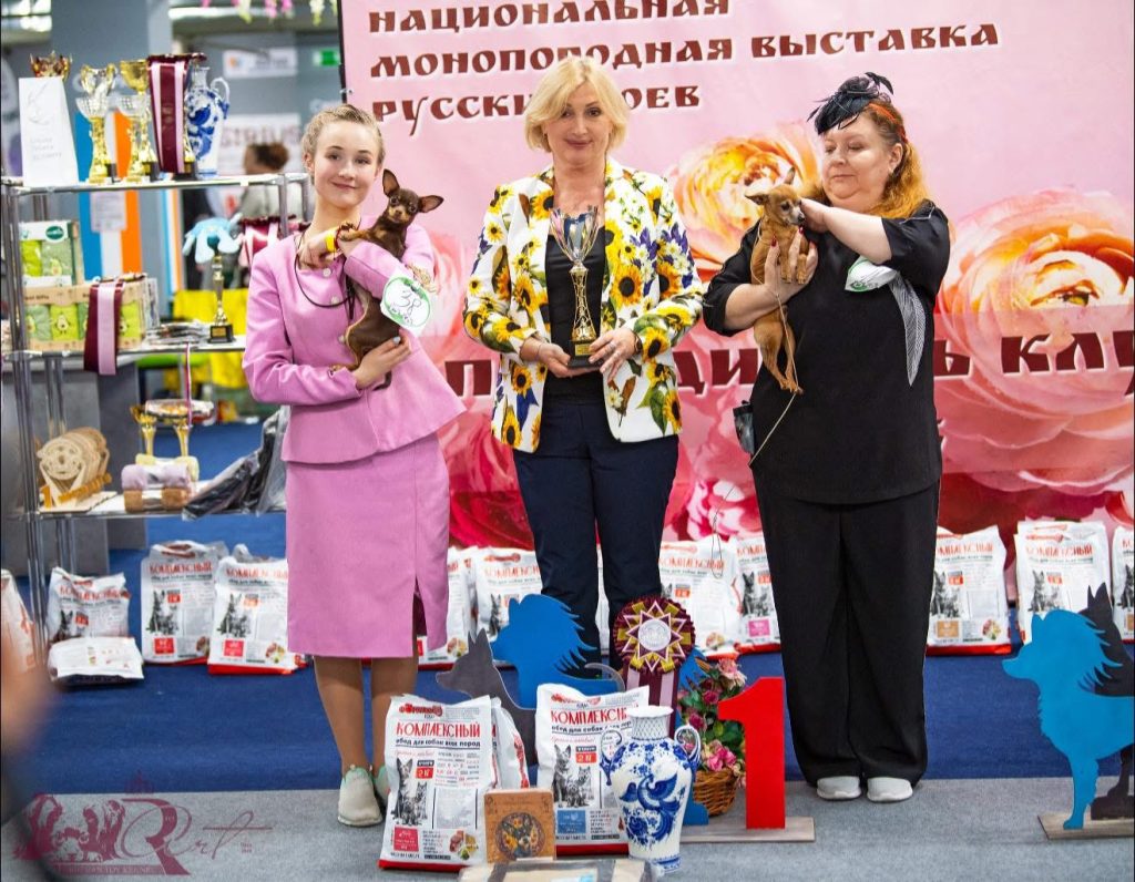 Национальная монопородная выставка русский той