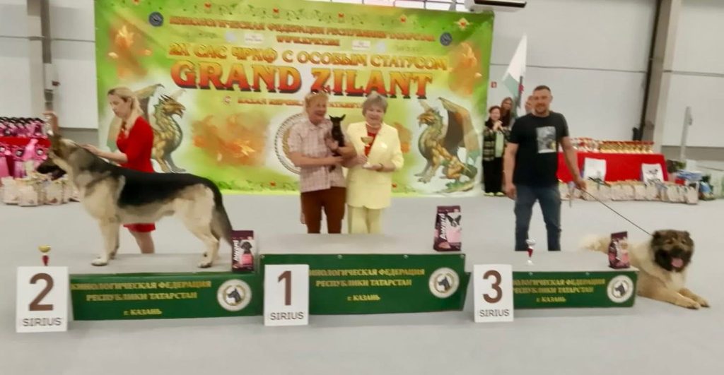 Рейтинговая Выставка Ранг ЧРКФ с ОСОБЫМ СТАТУСОМ ГРАНД ЗИЛАНТ 2025