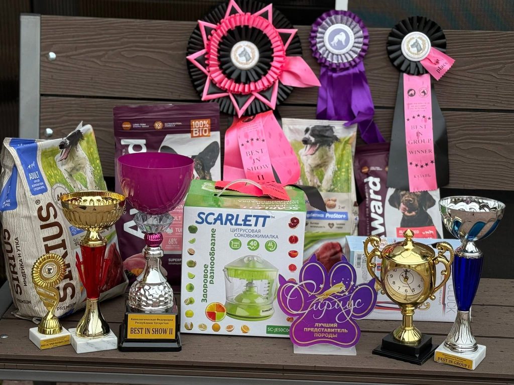 Рейтинговая Выставка Ранг ЧРКФ с ОСОБЫМ СТАТУСОМ ГРАНД ЗИЛАНТ 2025