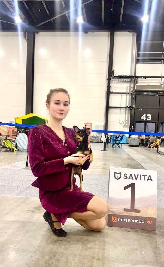 САНКТ-ПЕТЕРБУРГ. РЕЙТИНГОВАЯ ВЫСТАВКА СОБАК ВСЕХ ПОРОД С ОСОБЫМ СТАТУСОМ